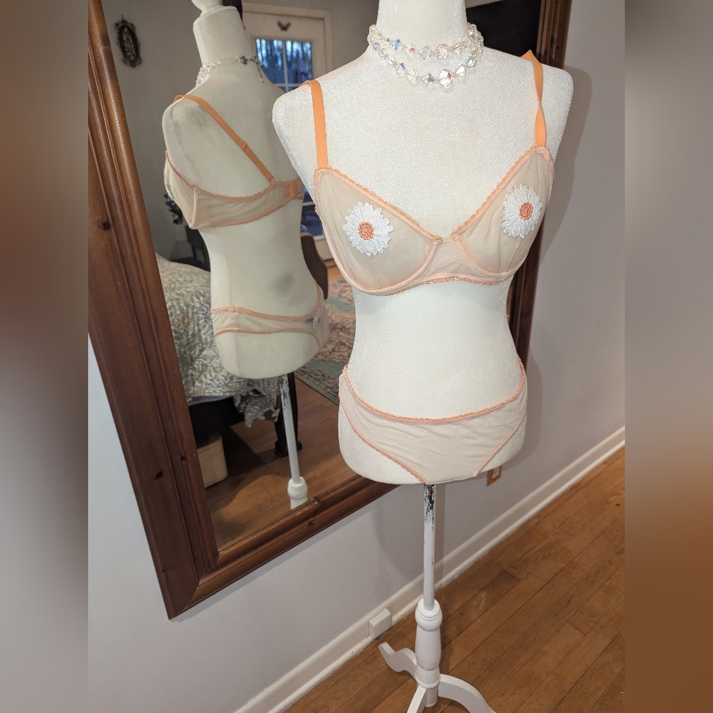 Adore Me Sheer Mesh Bra & Brief Set in Peach and White